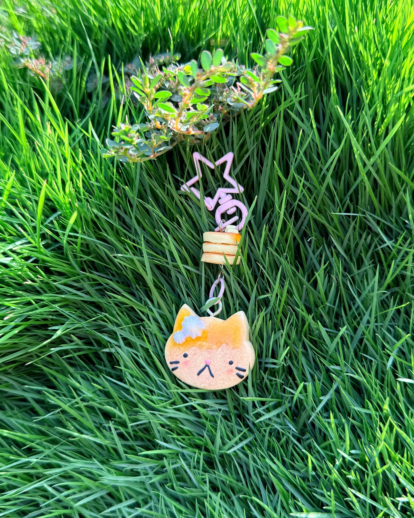 Purrcake with Honey Drizzle (pink star clasp)